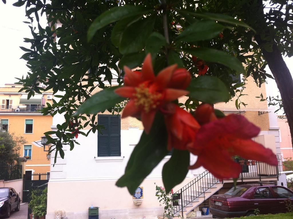 Aristocarli Bed & Breakfast Rome Luaran gambar